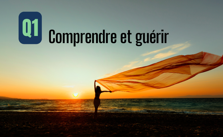 Le psychotrauma : Comprendre et guérir